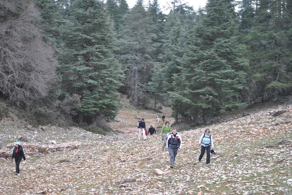Hotel Tamanoucht Ifrane  Zewnętrze zdjęcie
